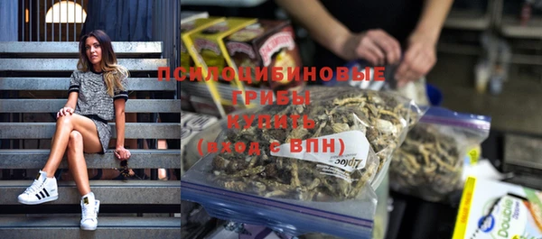 твердый Приозерск