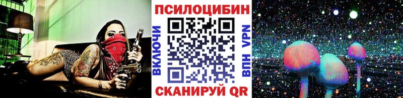 mega маркетплейс  Черняховск  Псилоцибиновые грибы ЛСД 